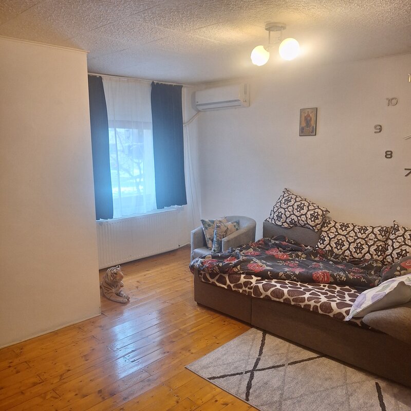 Cornetu, Judecatorie,