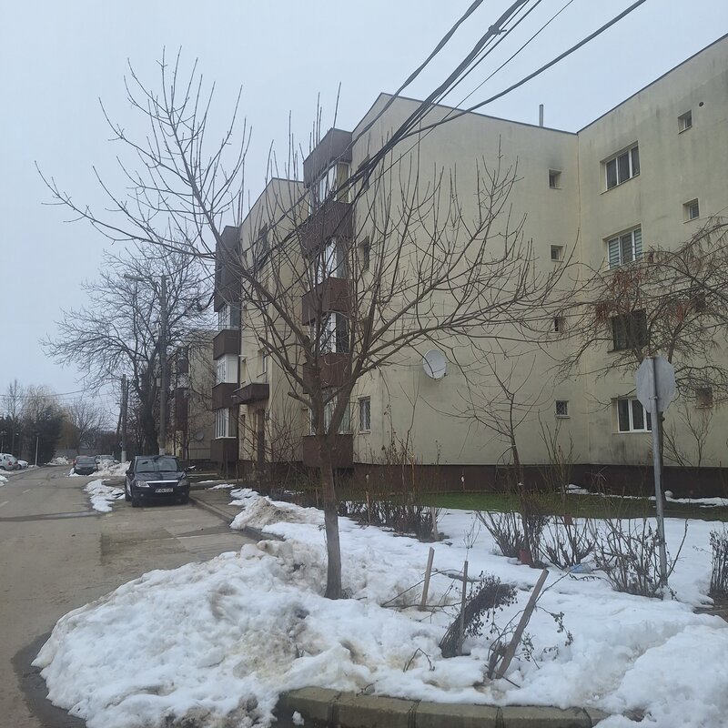 Cornetu, Judecatorie,